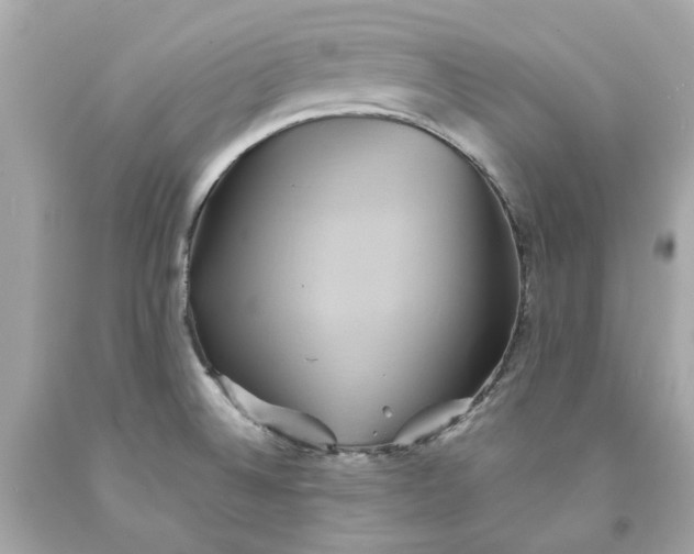 X0000091591524200709101030