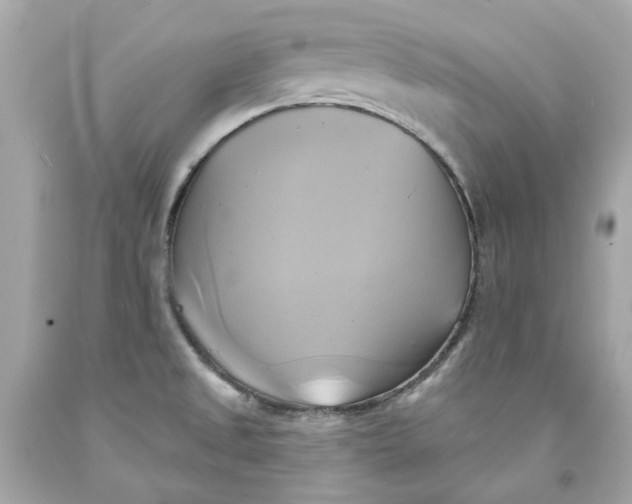 X0000091591525200709101030