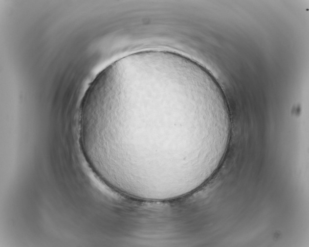 X0000091591526200709101030