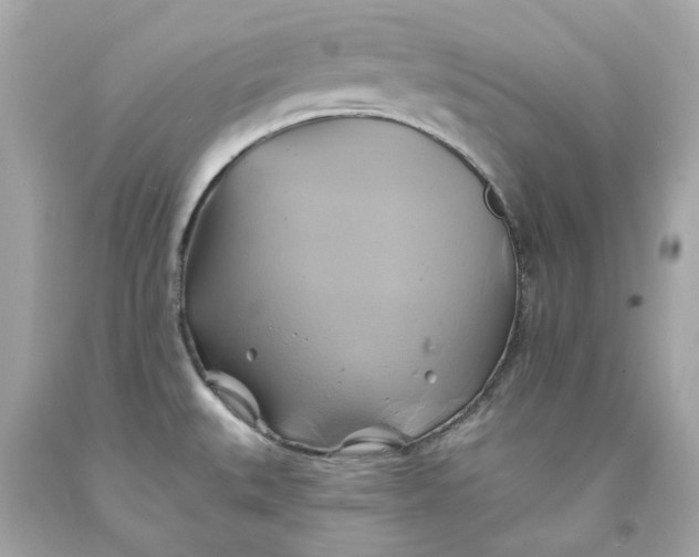 X0000091591527200709101030