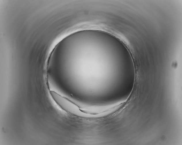 X0000091591528200709101030