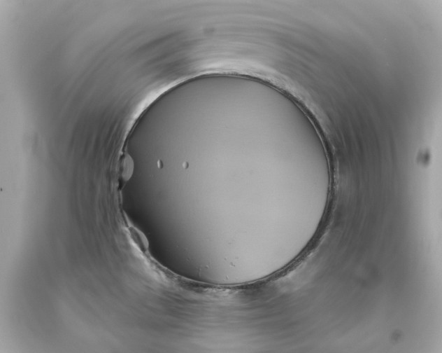 X0000091591529200709101030