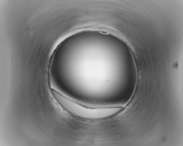 X0000091591530200709101030