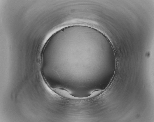 X0000091591531200709101030