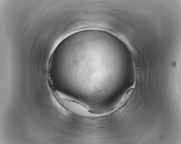 X0000091591532200709101030