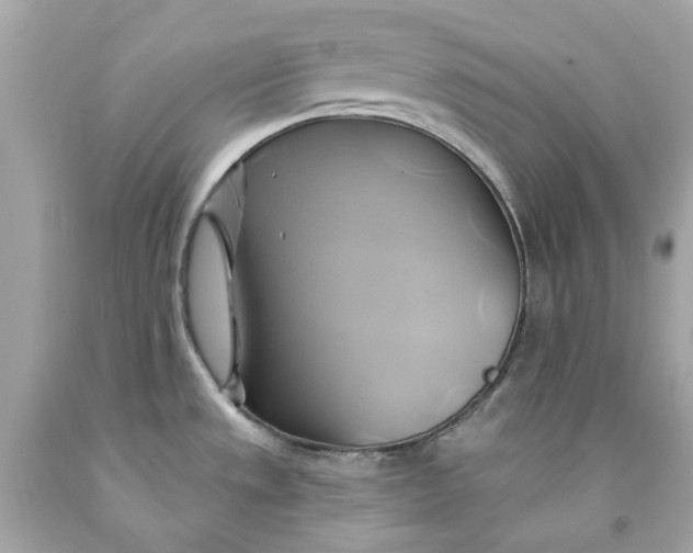 X0000091591533200709101030