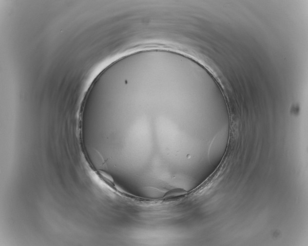 X0000091591535200709101030