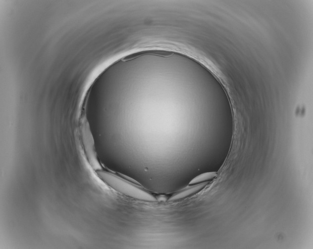 X0000091591536200709101030