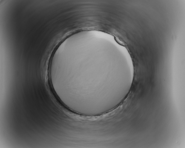 X0000091590002200709171143