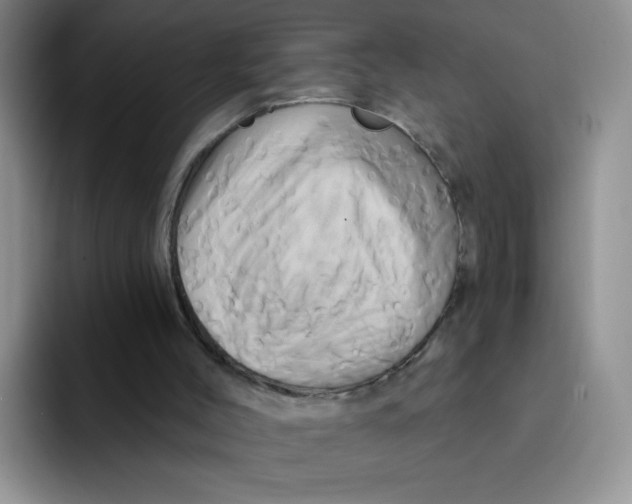 X0000091590004200709171143