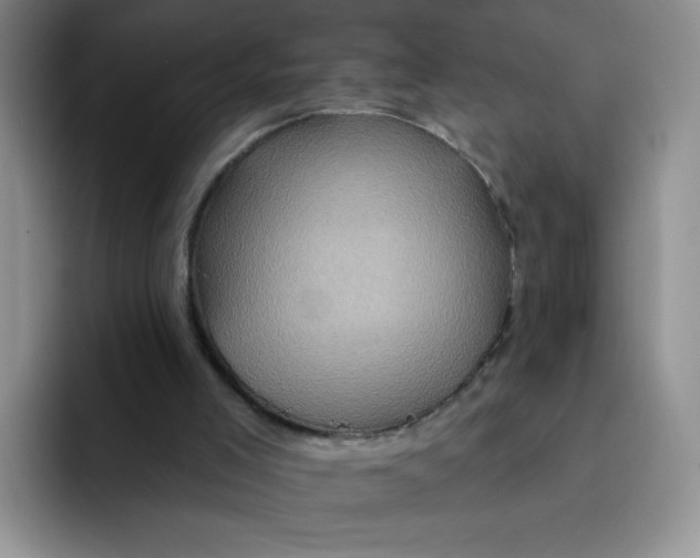 X0000091590005200709171143