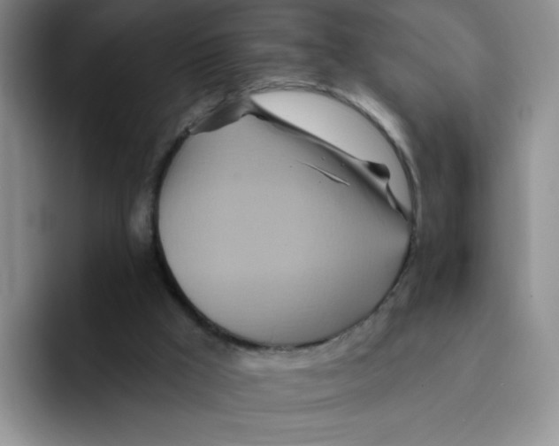 X0000091590009200709171142