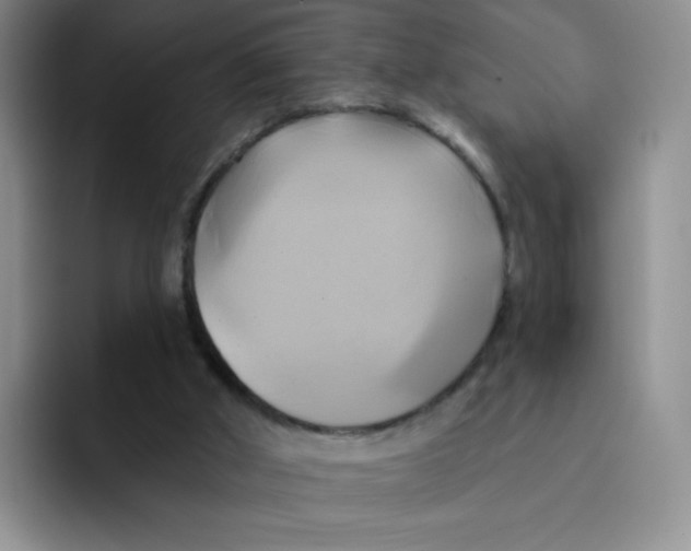 X0000091590010200709171142