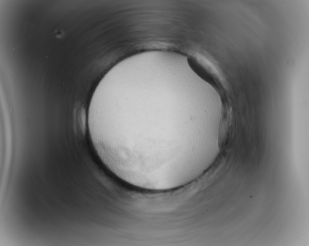 X0000091590013200709171142