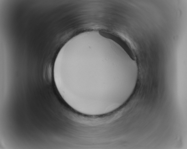 X0000091590014200709171142