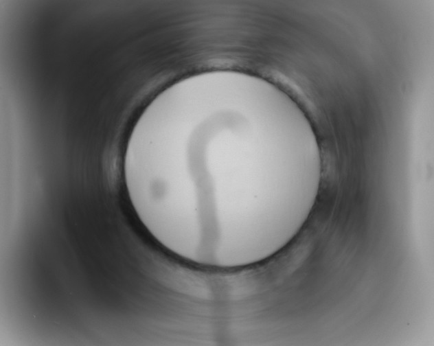 X0000091590016200709171142