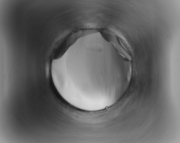 X0000091590019200709171142