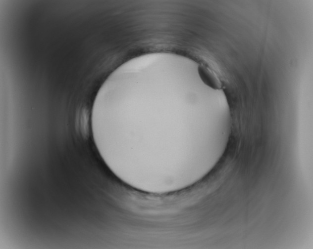 X0000091590022200709171142