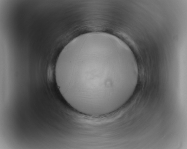 X0000091590026200709171142