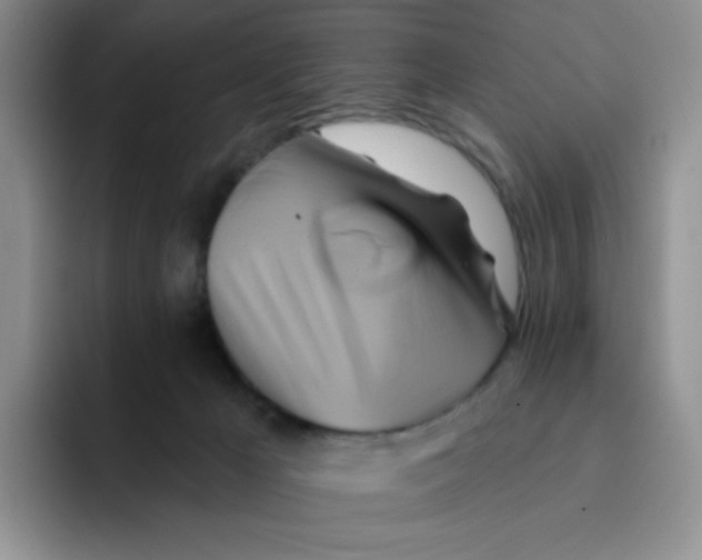 X0000091590029200709171142