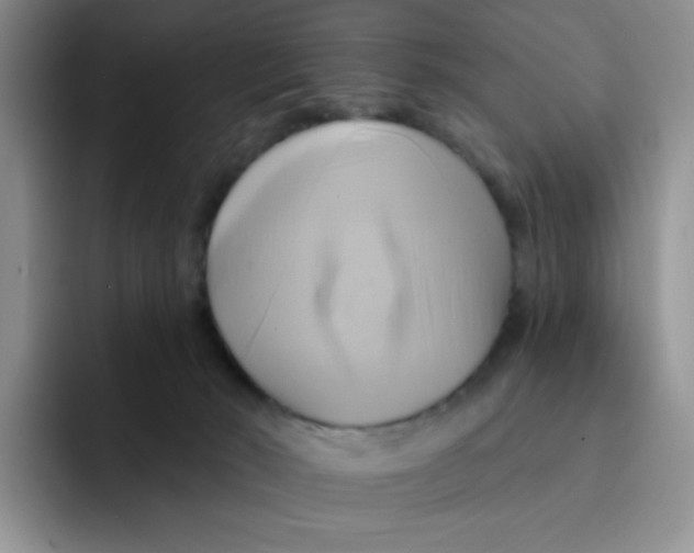 X0000091590030200709171142