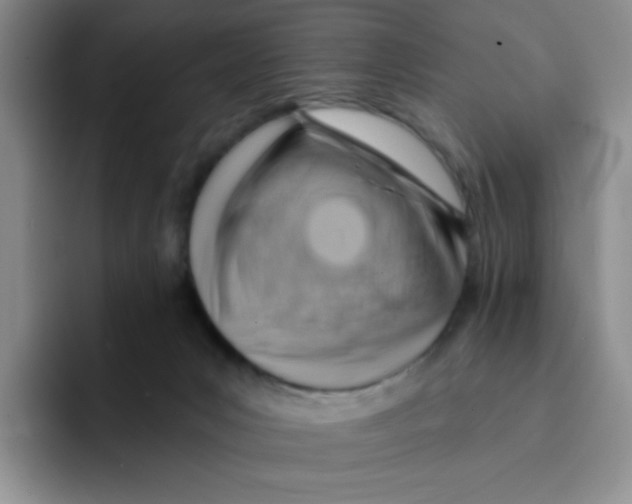 X0000091590031200709171142