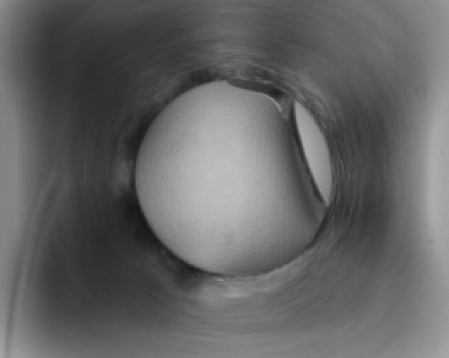 X0000091590033200709171142