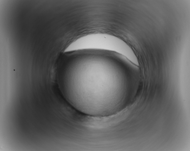 X0000091590037200709171142