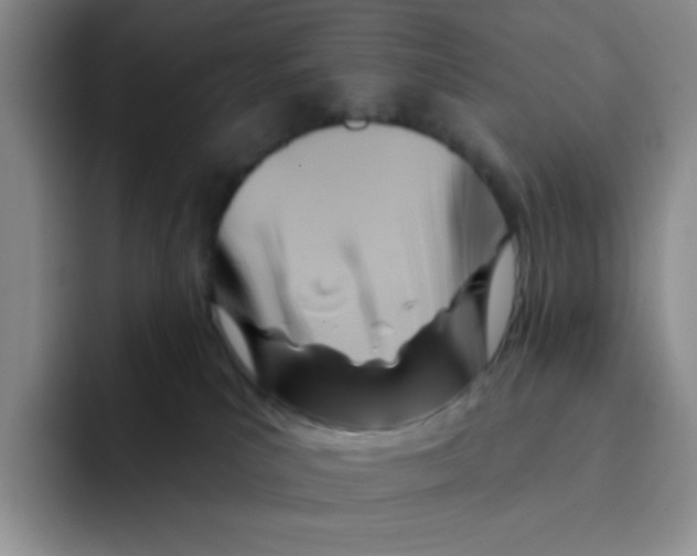 X0000091590039200709171142