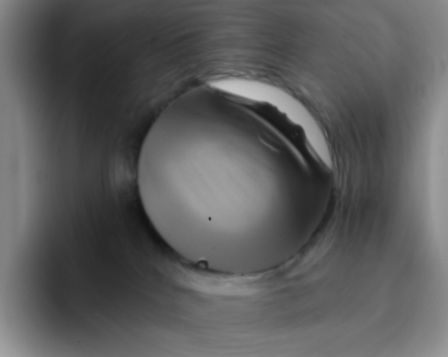 X0000091590040200709171142