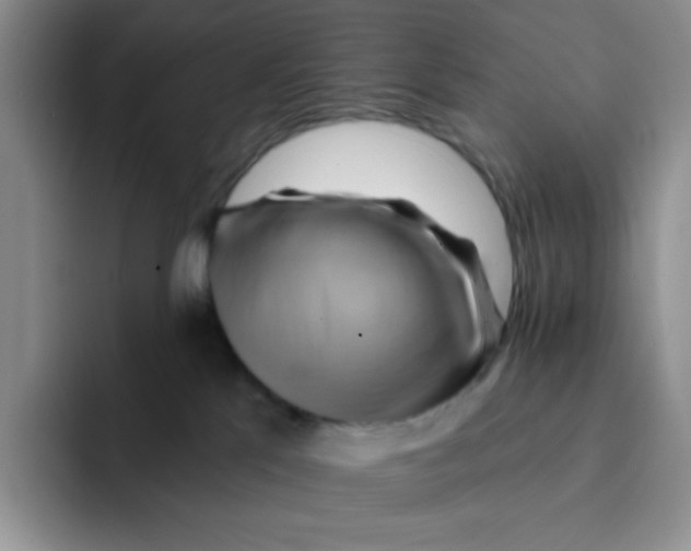 X0000091590041200709171142