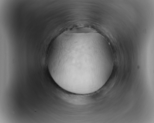 X0000091590044200709171142