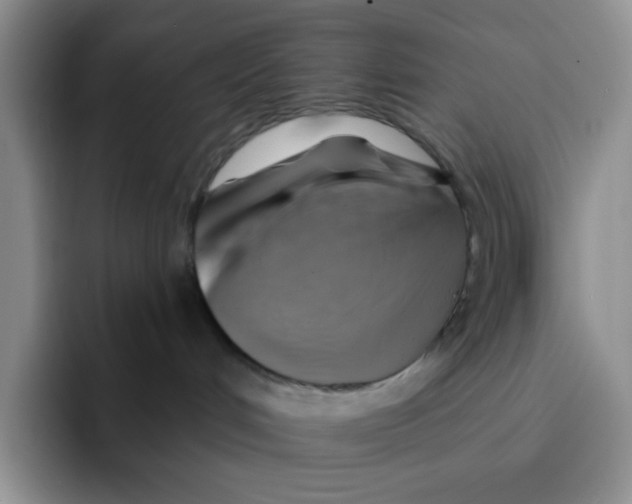 X0000091590048200709171142