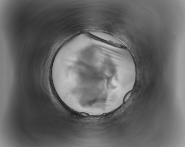 X0000091590049200709171141