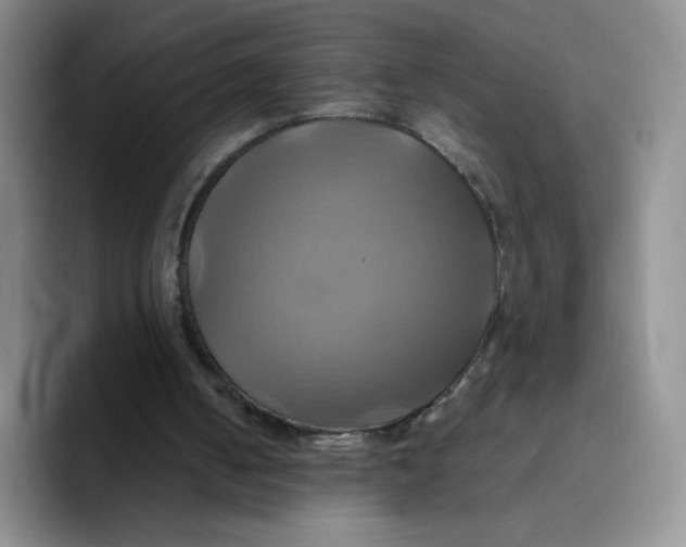 X0000091590050200709171141