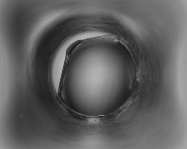 X0000091590052200709171142