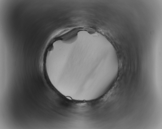 X0000091590054200709171142