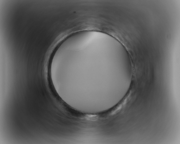 X0000091590055200709171142