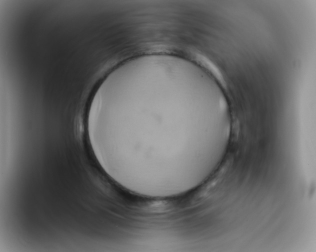 X0000091590059200709171142