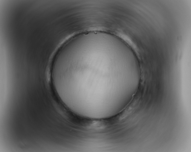 X0000091590060200709171142