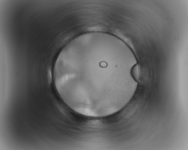 X0000091590061200709171142