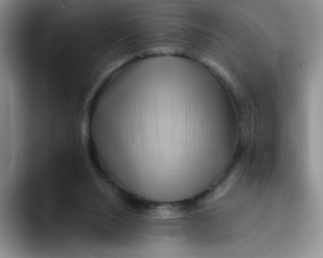 X0000091590064200709171142