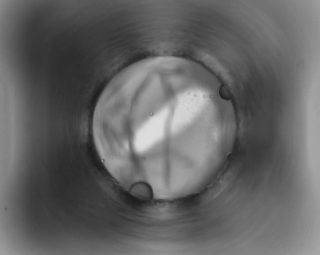 X0000091590065200709171142