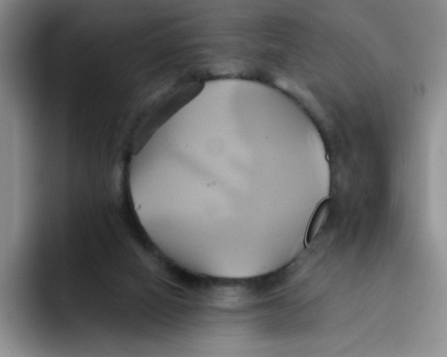 X0000091590066200709171142