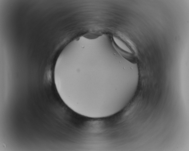 X0000091590067200709171142