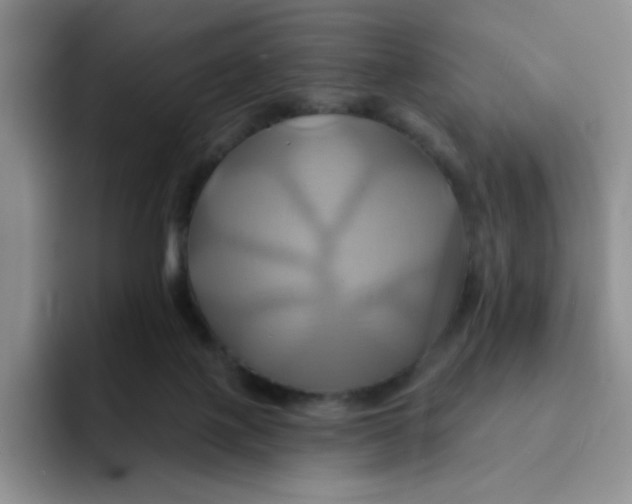 X0000091590075200709171142