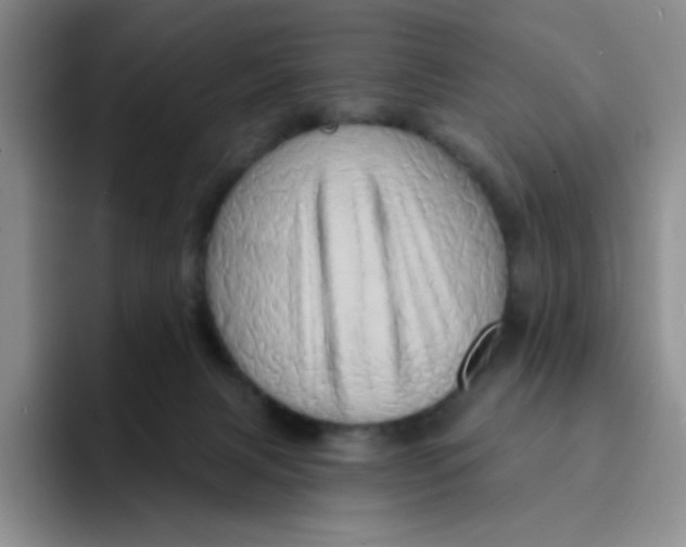 X0000091590079200709171142