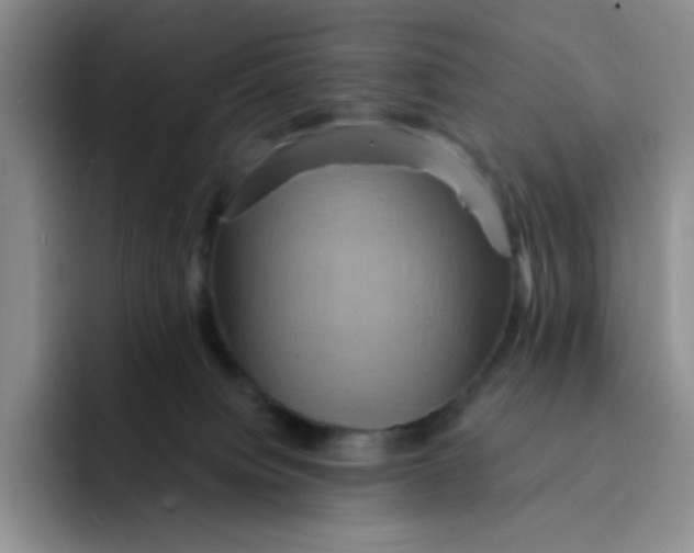 X0000091590084200709171142