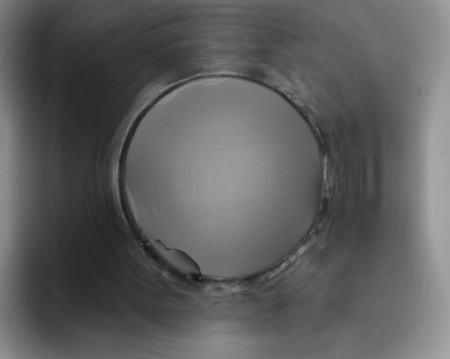 X0000091590099200709171141