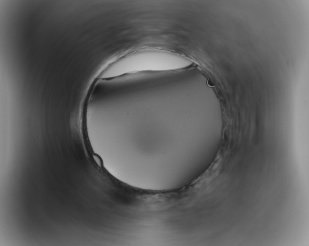 X0000091590100200709171141